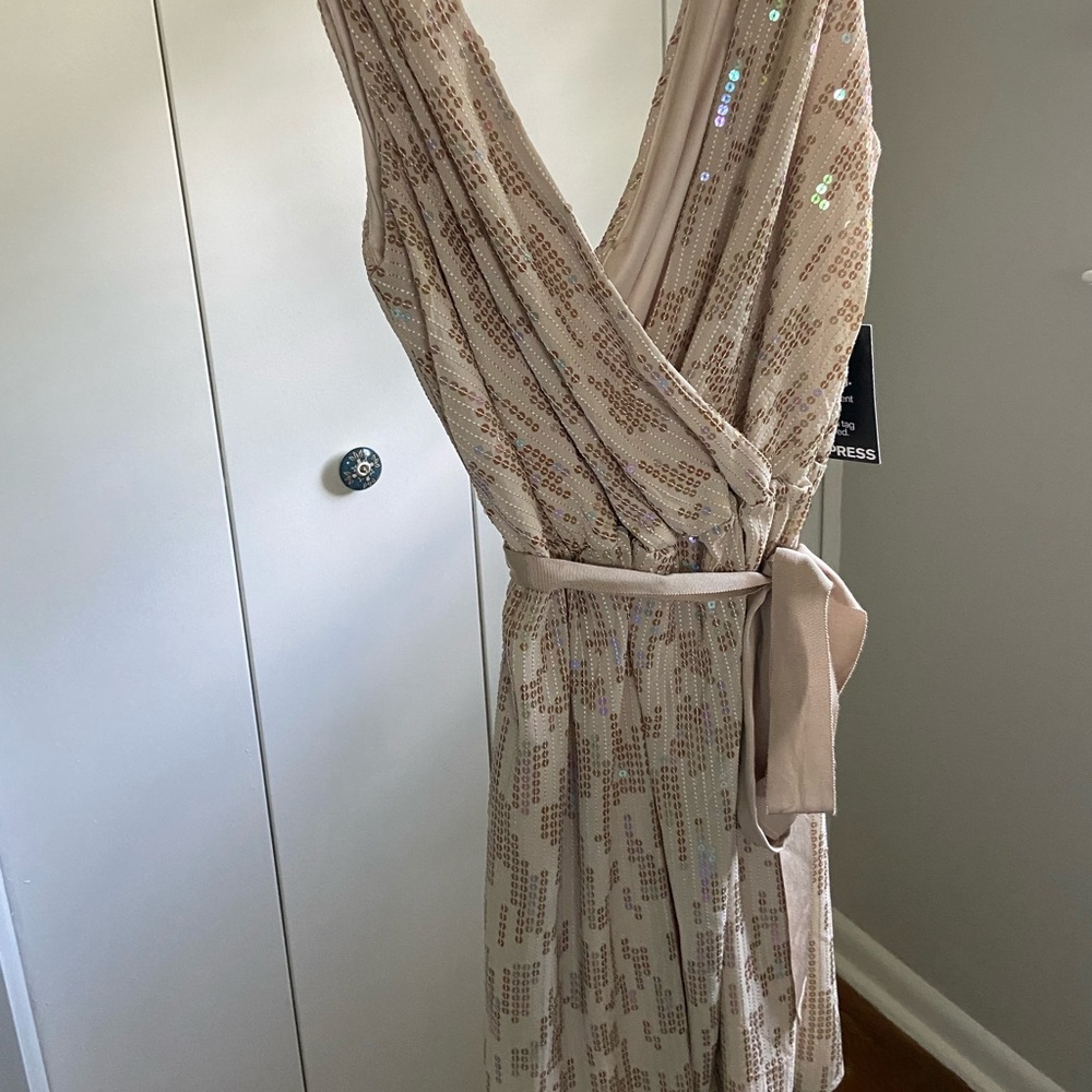Express sequin dress